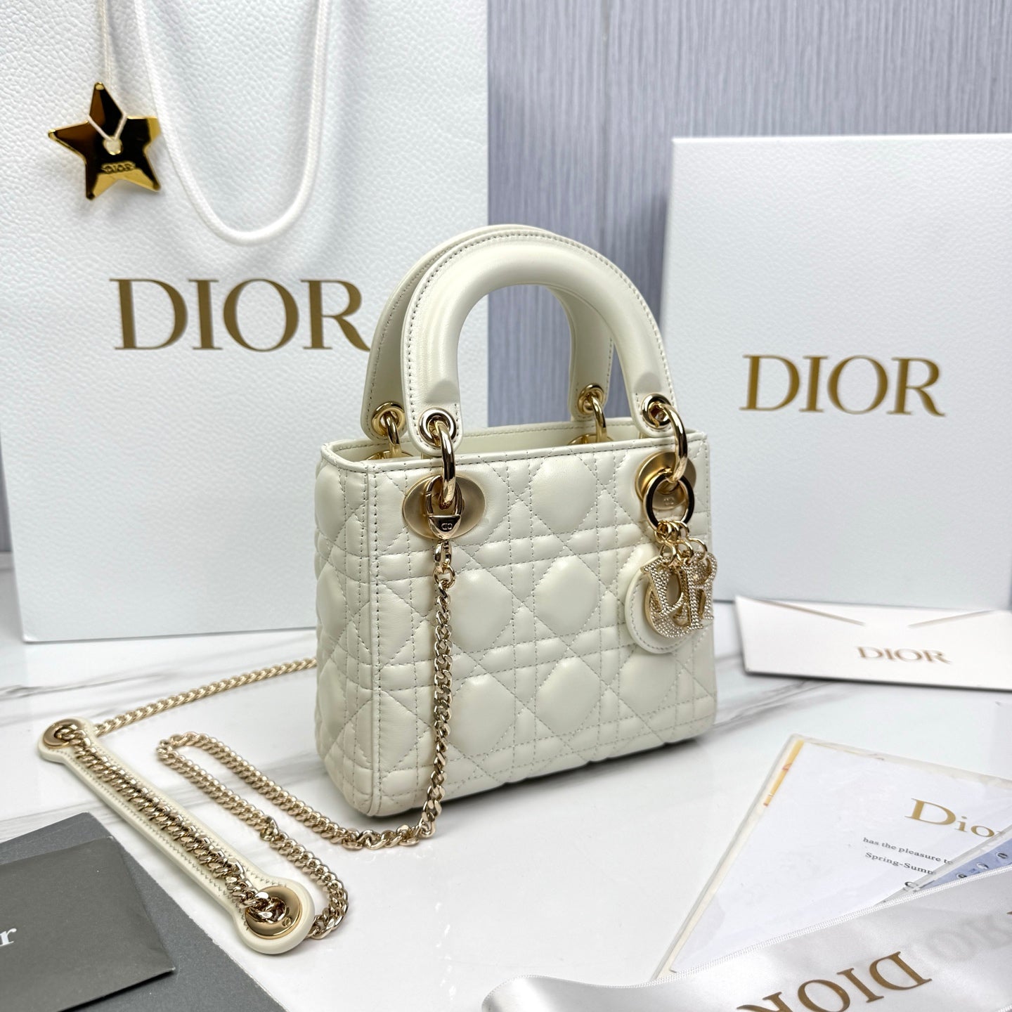 Bolsa DIOR