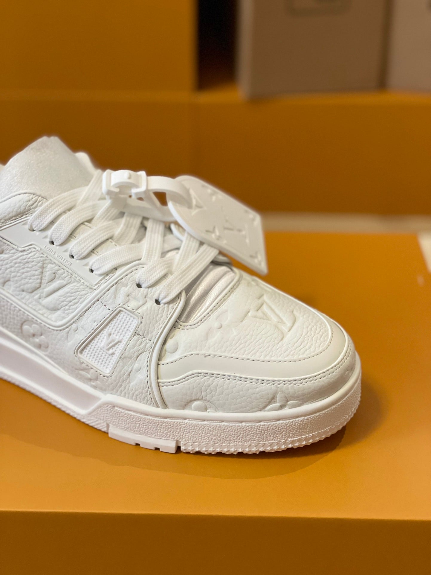 Lv Trainer