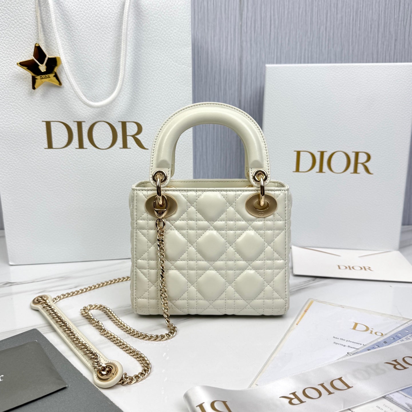 Bolsa DIOR