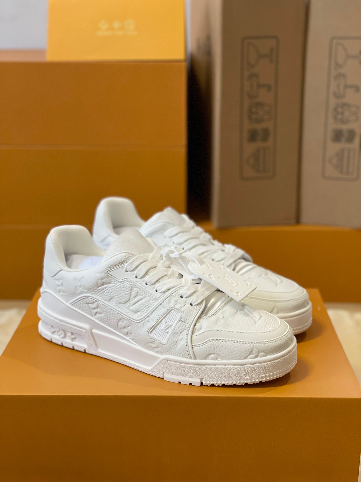 Lv Trainer