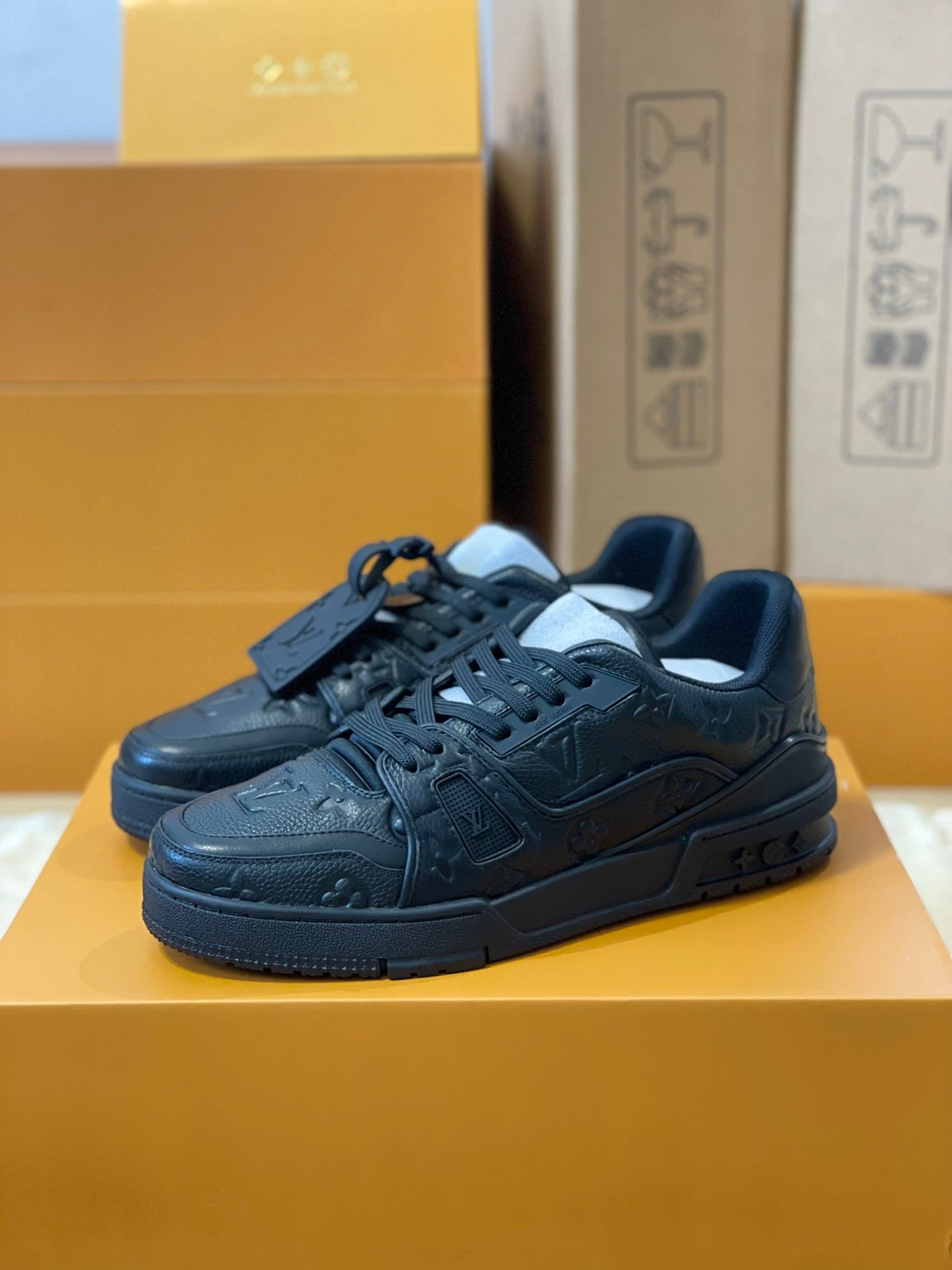 Lv Trainer