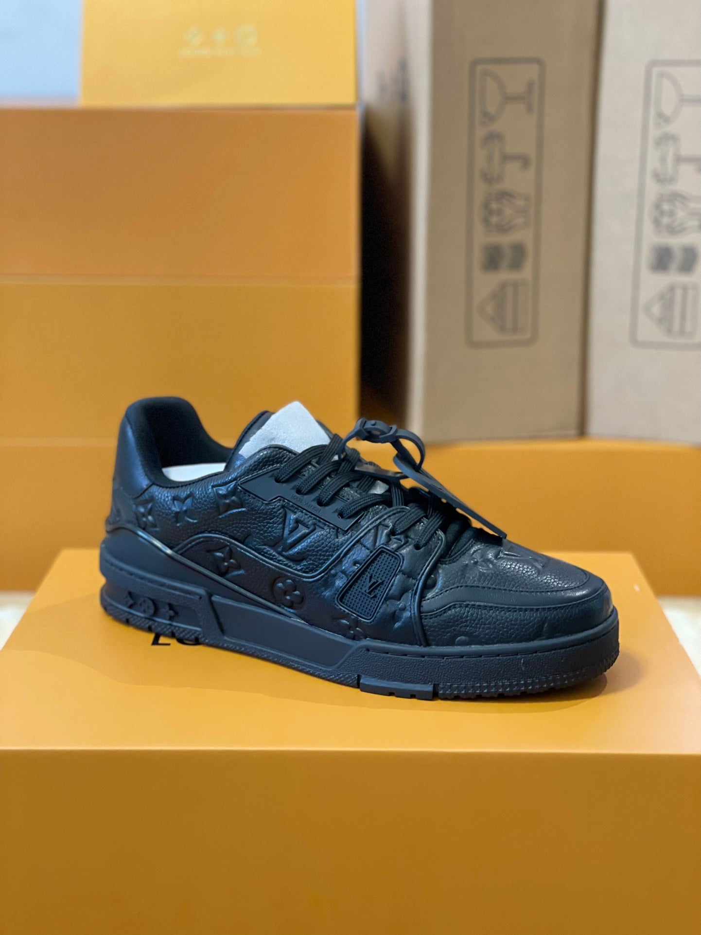 Lv Trainer
