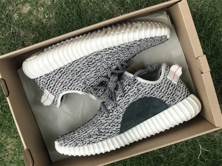 Yeezy Boost 350 Turtledove AQ4832